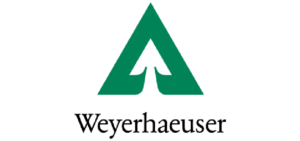 Logo 16